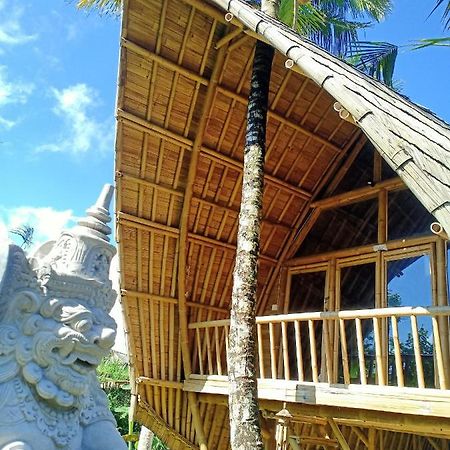 Jero Tumbuk Private Villa Selat Extérieur photo