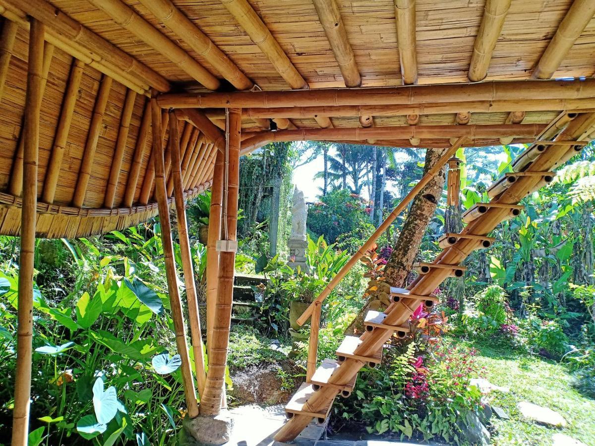 Jero Tumbuk Private Villa Selat Extérieur photo