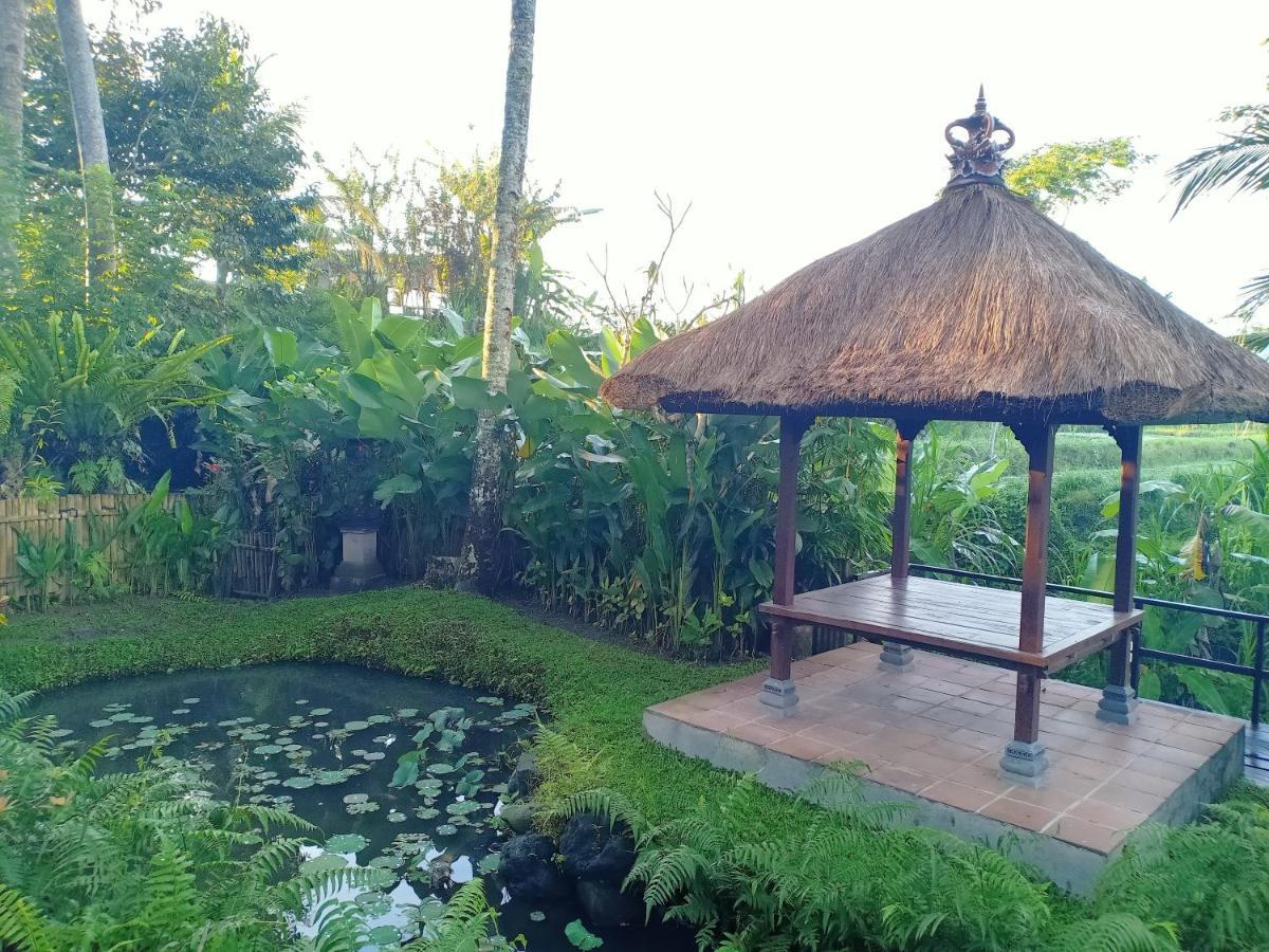 Jero Tumbuk Private Villa Selat Extérieur photo