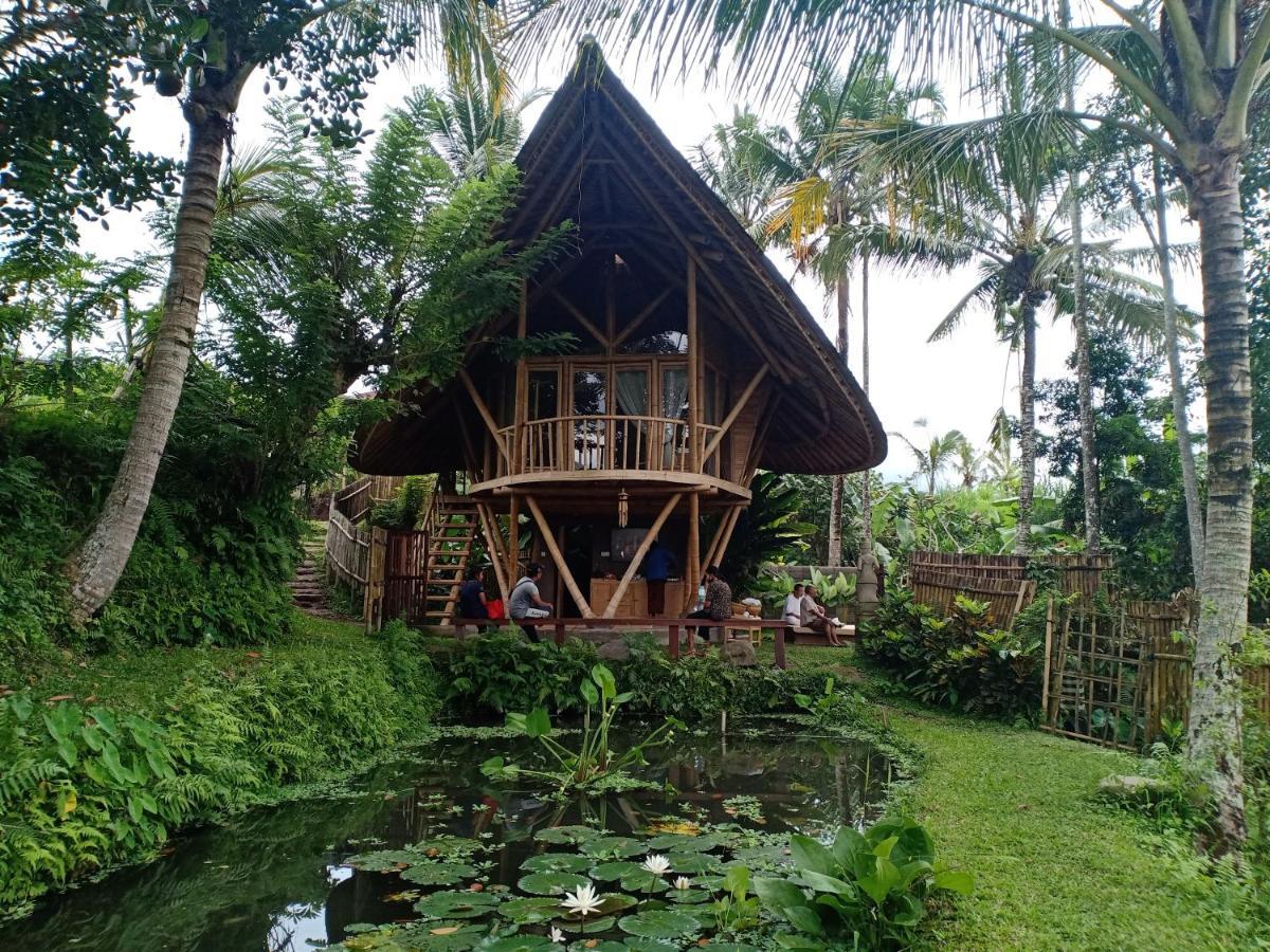 Jero Tumbuk Private Villa Selat Extérieur photo