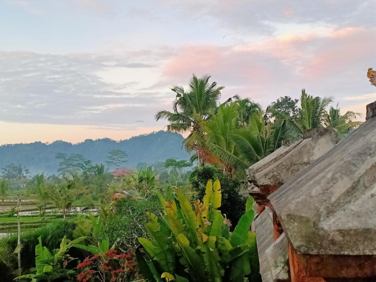 Jero Tumbuk Private Villa Selat Extérieur photo