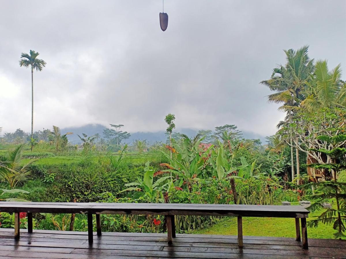 Jero Tumbuk Private Villa Selat Extérieur photo