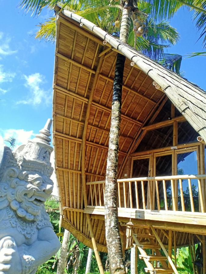 Jero Tumbuk Private Villa Selat Extérieur photo