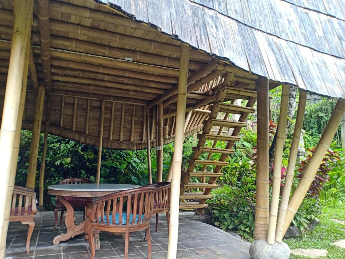 Jero Tumbuk Private Villa Selat Extérieur photo