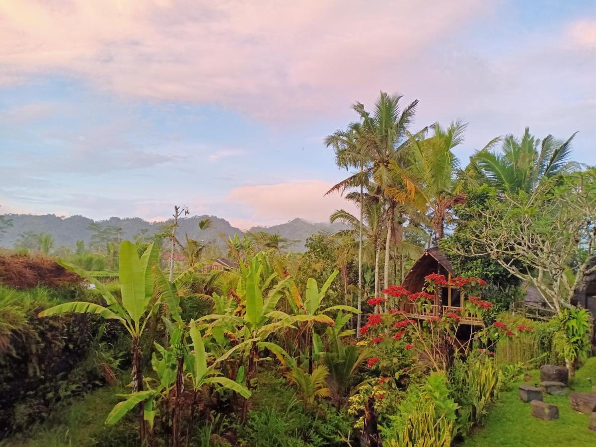 Jero Tumbuk Private Villa Selat Extérieur photo