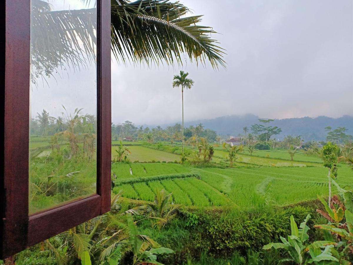 Jero Tumbuk Private Villa Selat Extérieur photo