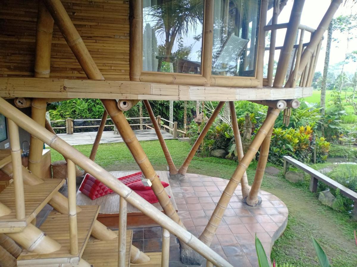 Jero Tumbuk Private Villa Selat Extérieur photo