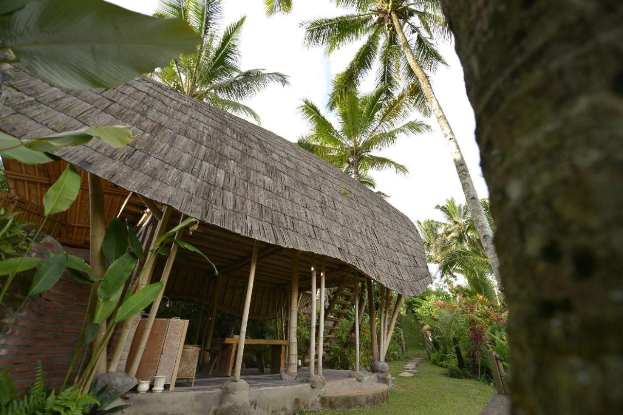 Jero Tumbuk Private Villa Selat Extérieur photo