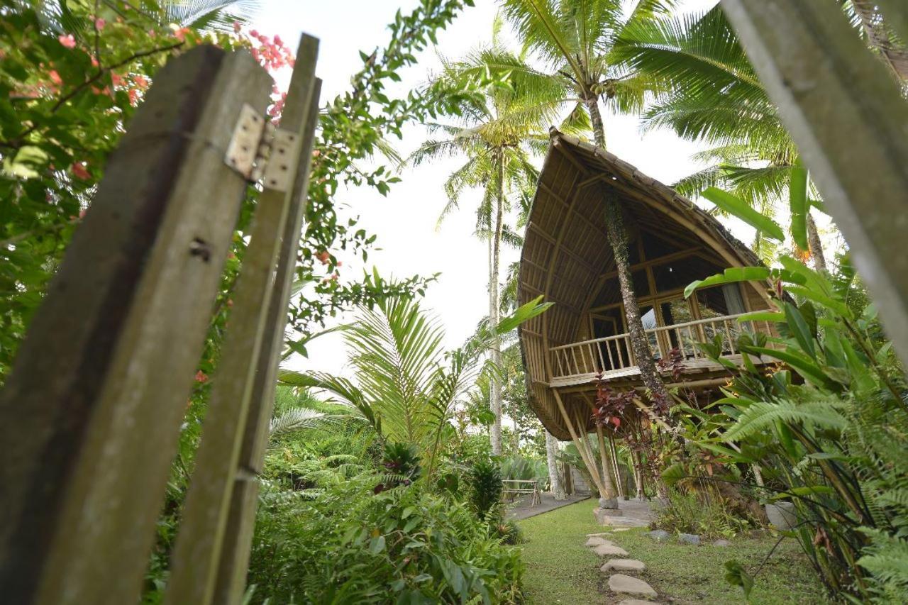 Jero Tumbuk Private Villa Selat Extérieur photo