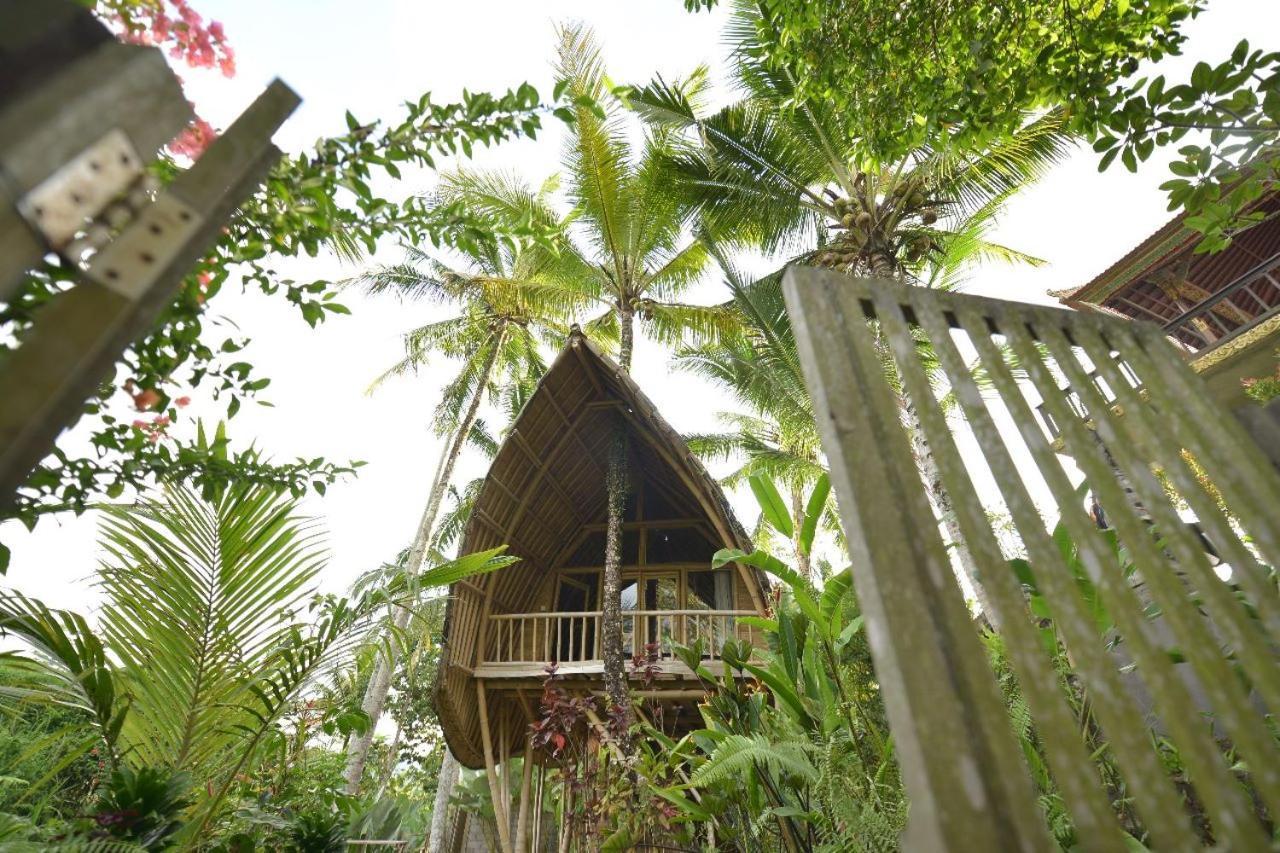 Jero Tumbuk Private Villa Selat Extérieur photo