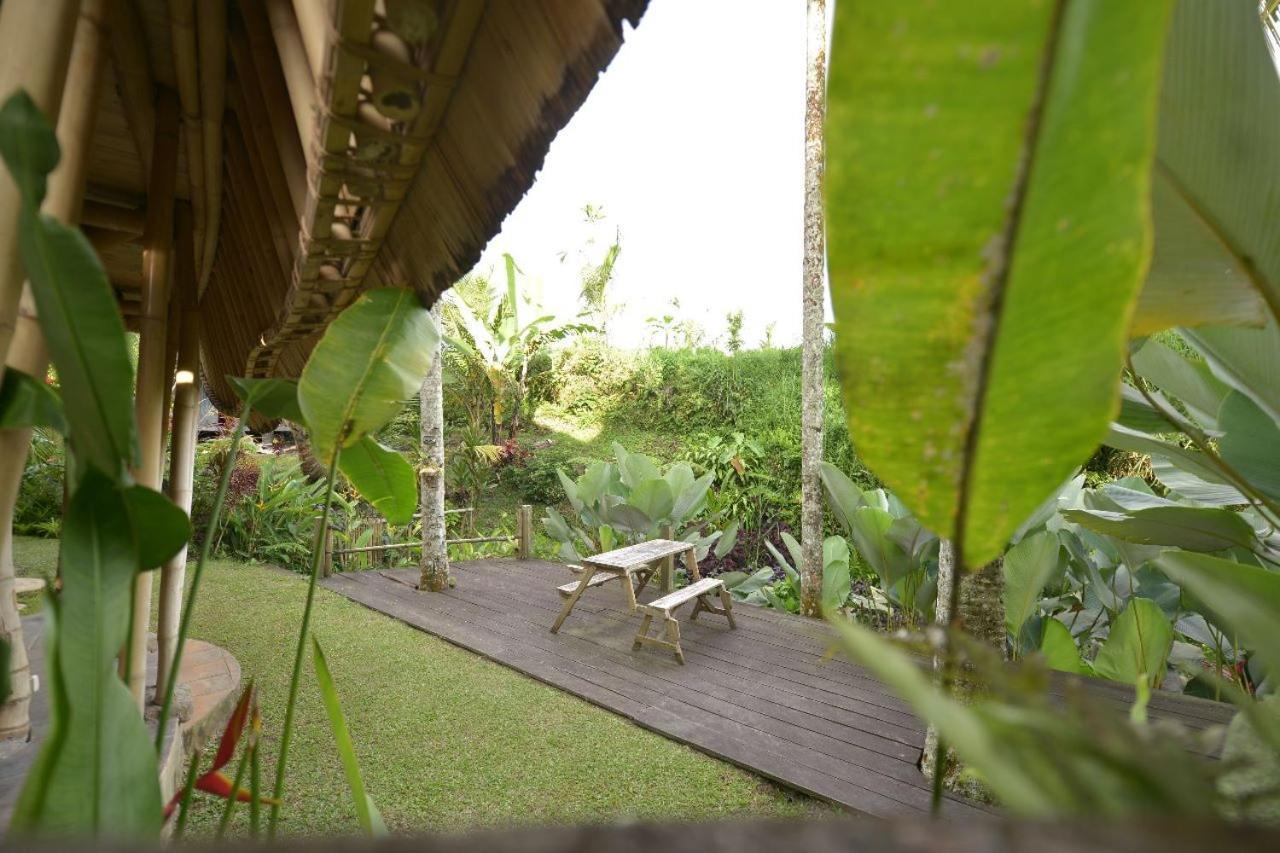 Jero Tumbuk Private Villa Selat Extérieur photo