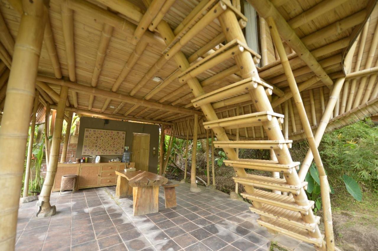 Jero Tumbuk Private Villa Selat Extérieur photo