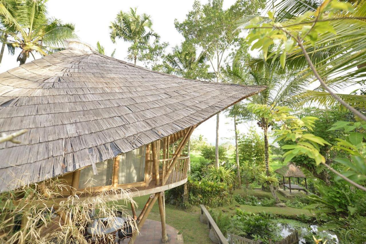 Jero Tumbuk Private Villa Selat Extérieur photo