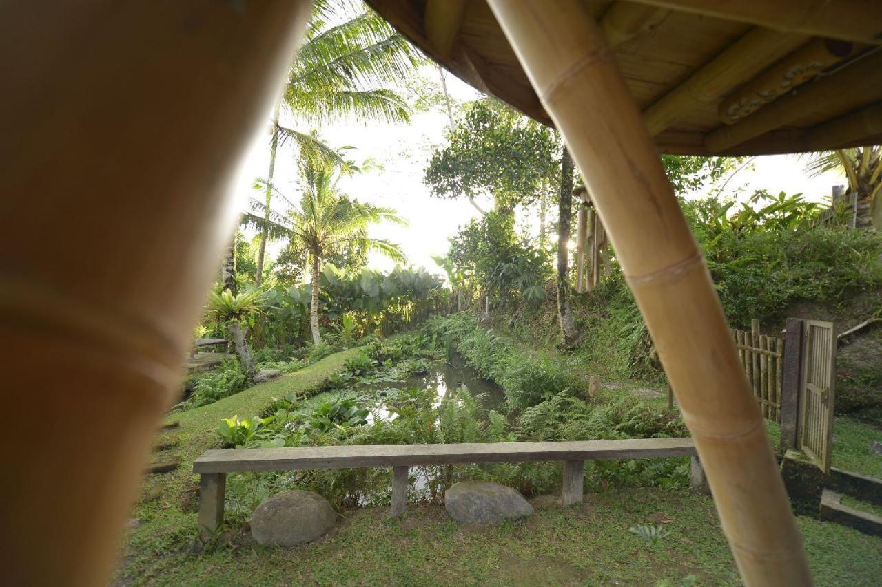 Jero Tumbuk Private Villa Selat Extérieur photo