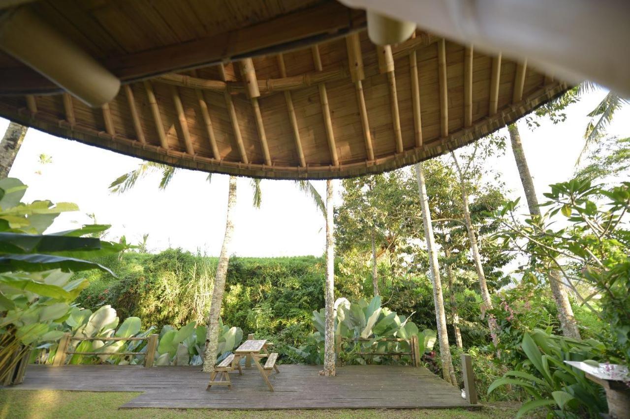 Jero Tumbuk Private Villa Selat Extérieur photo