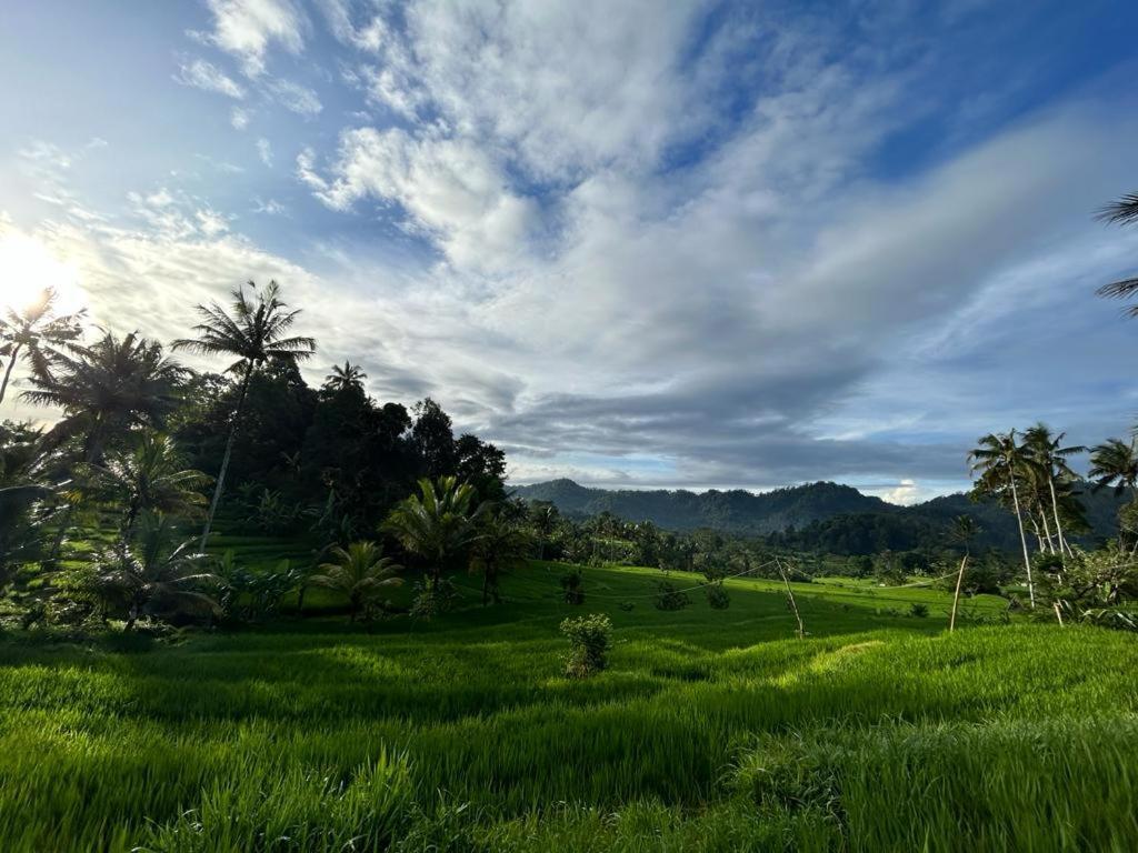 Jero Tumbuk Private Villa Selat Extérieur photo