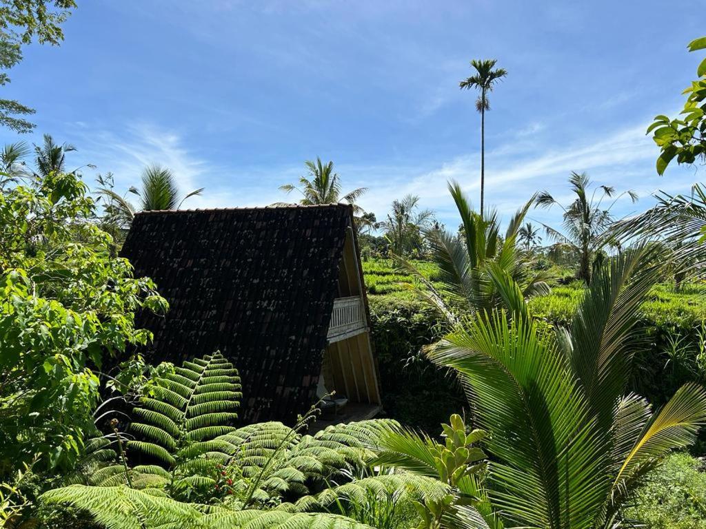 Jero Tumbuk Private Villa Selat Extérieur photo