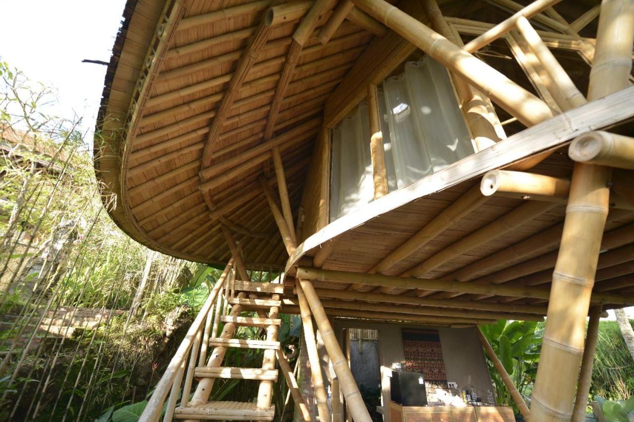 Jero Tumbuk Private Villa Selat Extérieur photo