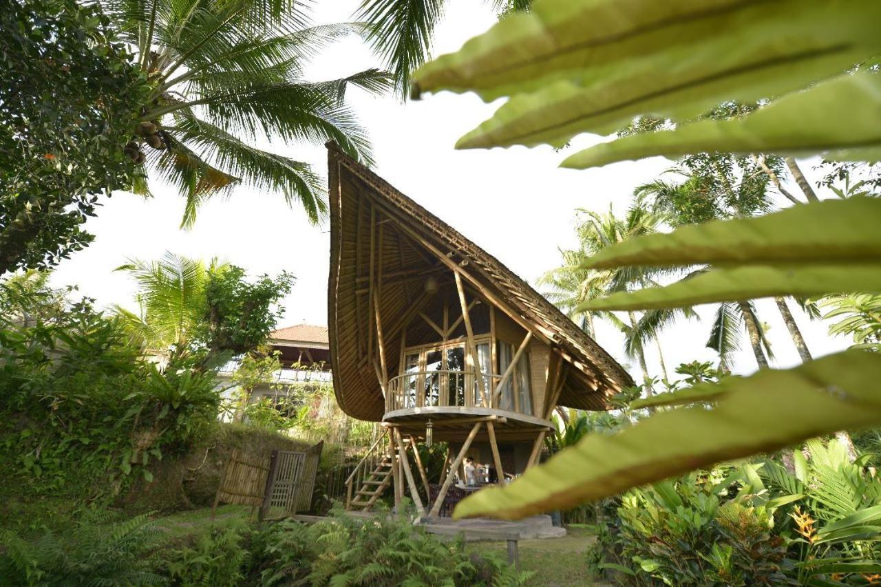 Jero Tumbuk Private Villa Selat Extérieur photo