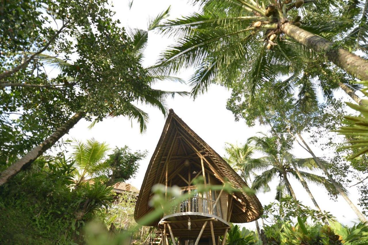 Jero Tumbuk Private Villa Selat Extérieur photo