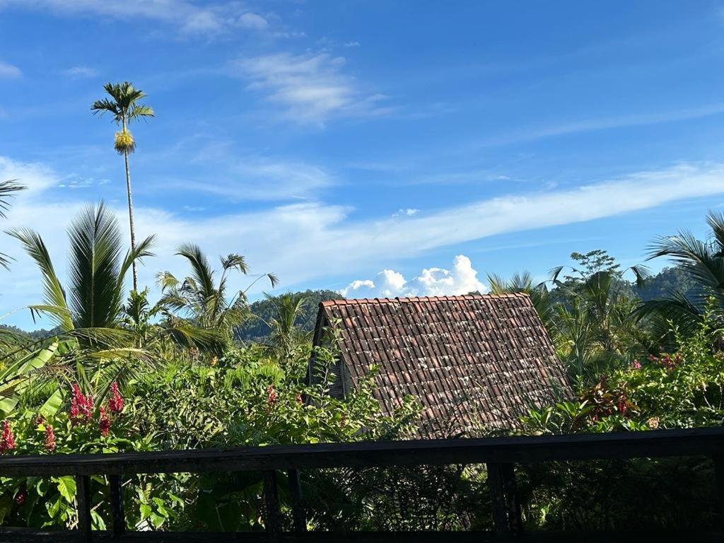 Jero Tumbuk Private Villa Selat Extérieur photo