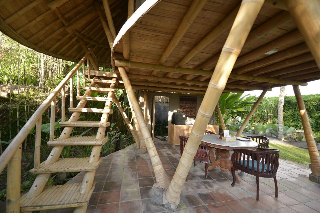 Jero Tumbuk Private Villa Selat Extérieur photo