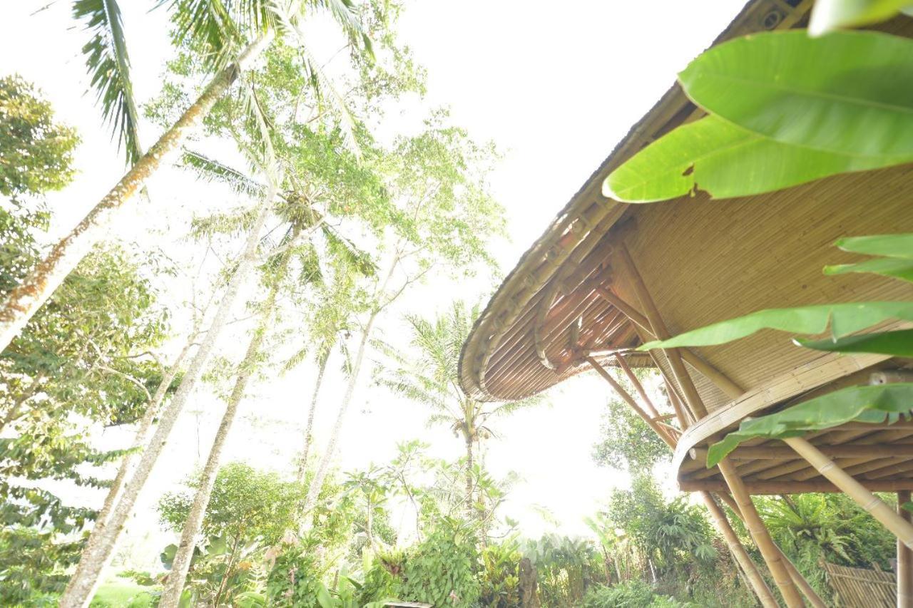 Jero Tumbuk Private Villa Selat Extérieur photo