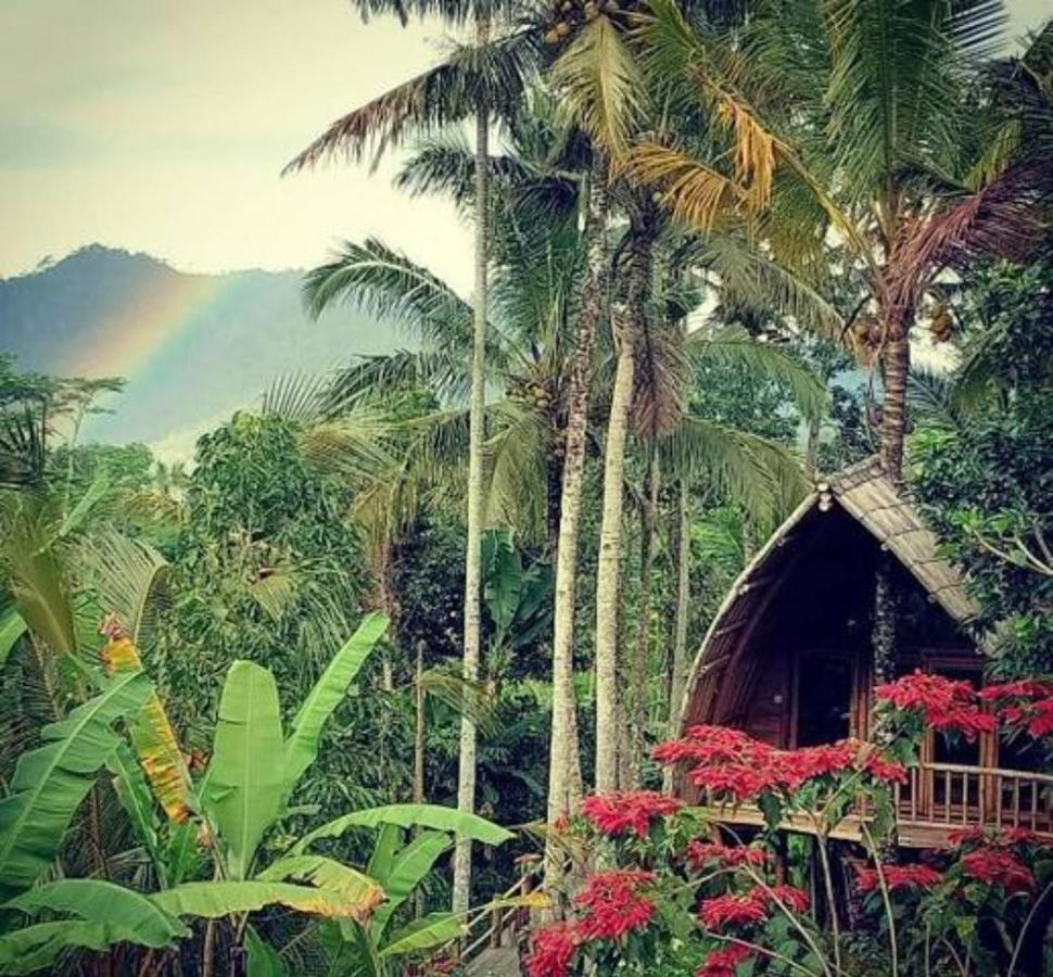 Jero Tumbuk Private Villa Selat Extérieur photo
